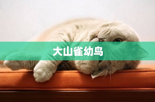 大山雀幼鳥