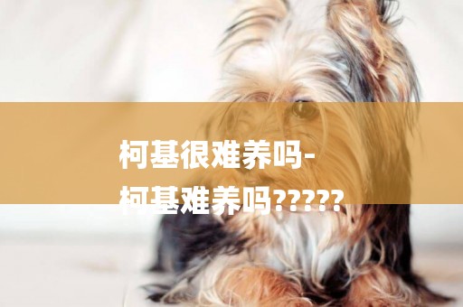 柯基很難養嗎-
柯基難養嗎?????