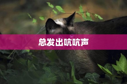 總發出吭吭聲