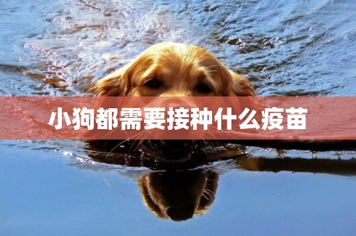 小狗都需要接種什么疫苗