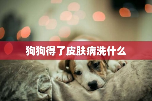 狗狗得了皮膚病洗什么