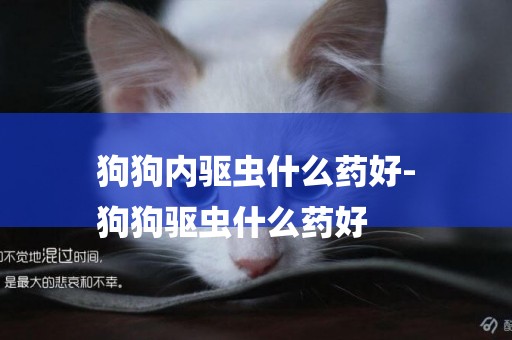 狗狗內驅蟲什么藥好-
狗狗驅蟲什么藥好