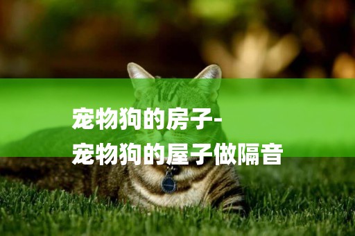 寵物狗的房子-
寵物狗的屋子做隔音