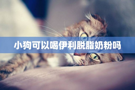 小狗可以喝伊利脫脂奶粉嗎