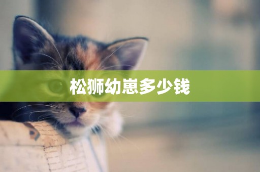 松獅幼崽多少錢