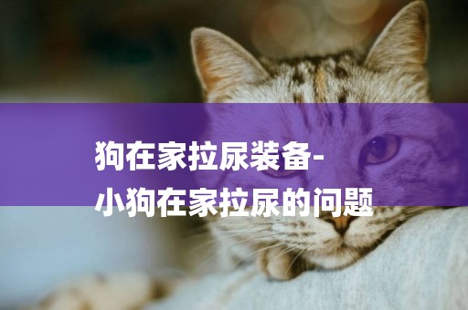 狗在家拉尿裝備-
小狗在家拉尿的問題