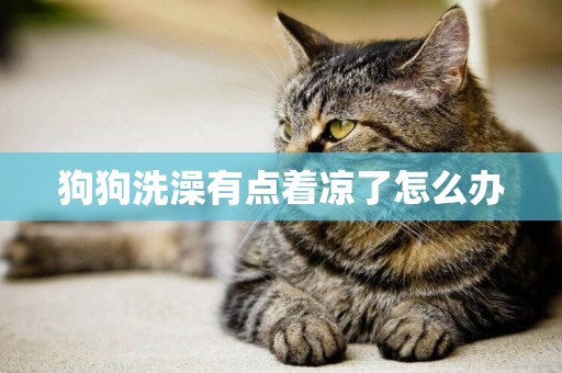 狗狗洗澡有點著涼了怎么辦