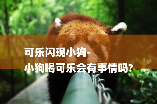 可樂閃現小狗-
小狗喝可樂會有事情嗎?