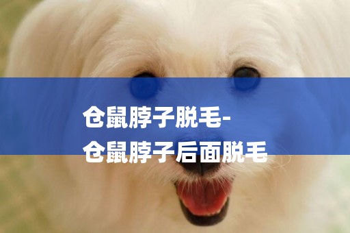 倉鼠脖子脫毛-
倉鼠脖子后面脫毛