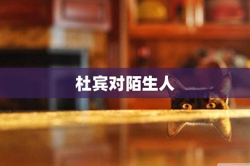 杜賓對陌生人