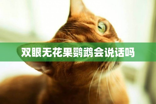 雙眼無花果鸚鵡會說話嗎