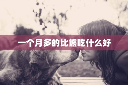 一個月多的比熊吃什么好