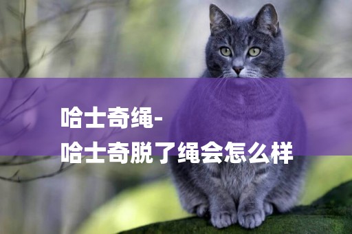 哈士奇繩-
哈士奇脫了繩會怎么樣