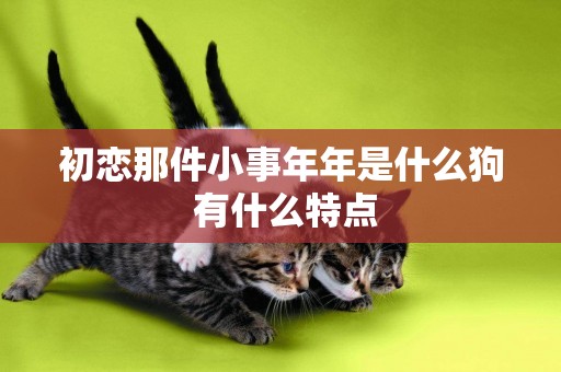 初戀那件小事年年是什么狗 有什么特點