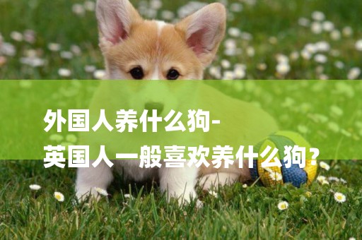 外國人養什么狗-
英國人一般喜歡養什么狗？
