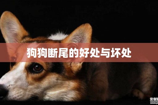 狗狗斷尾的好處與壞處