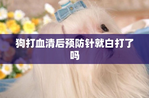 狗打血清后預防針就白打了嗎