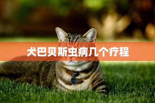犬巴貝斯蟲病幾個療程