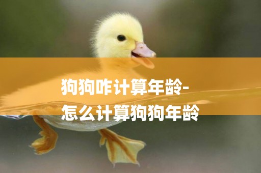 狗狗咋計算年齡-
怎么計算狗狗年齡