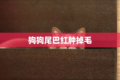 狗狗尾巴紅腫掉毛