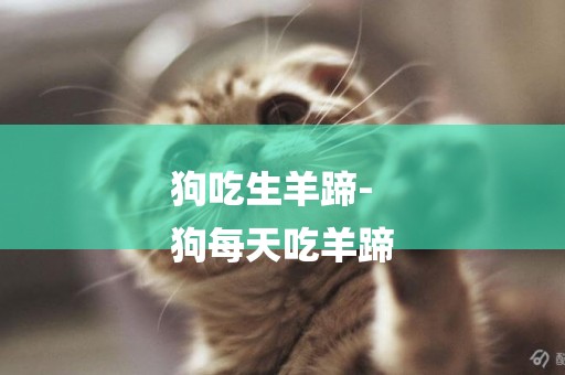 狗吃生羊蹄-
狗每天吃羊蹄