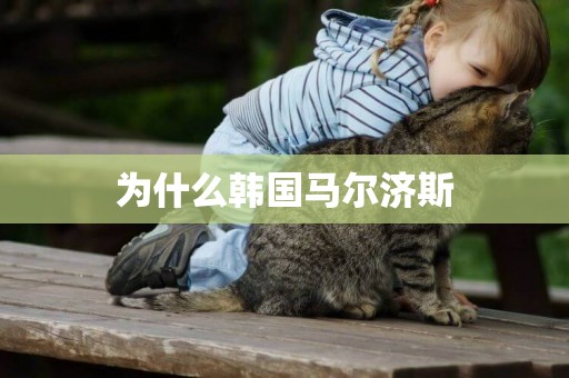 為什么韓國馬爾濟斯