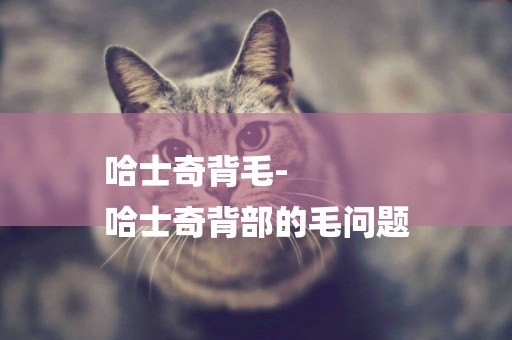 哈士奇背毛-
哈士奇背部的毛問題