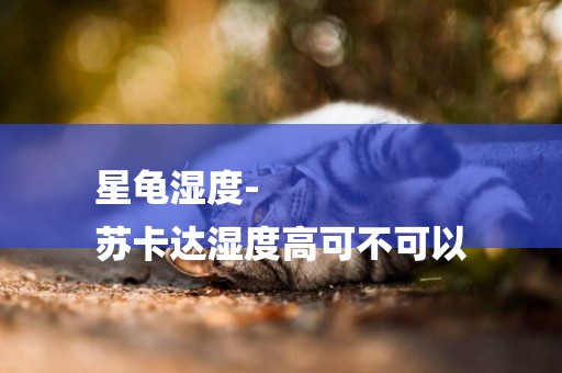 星龜濕度-
蘇卡達濕度高可不可以