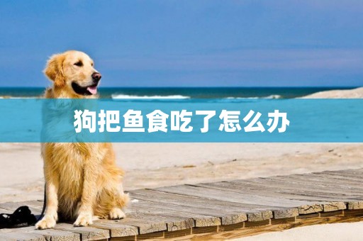 狗把魚食吃了怎么辦