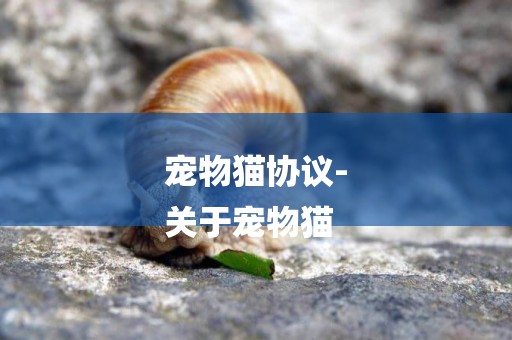 寵物貓協議-
關于寵物貓