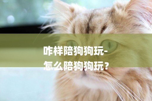 咋樣陪狗狗玩-
怎么陪狗狗玩？