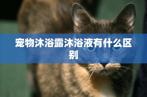 寵物沐浴露沐浴液有什么區別