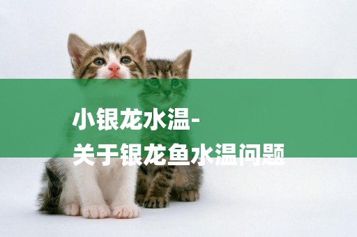 小銀龍水溫-
關于銀龍魚水溫問題