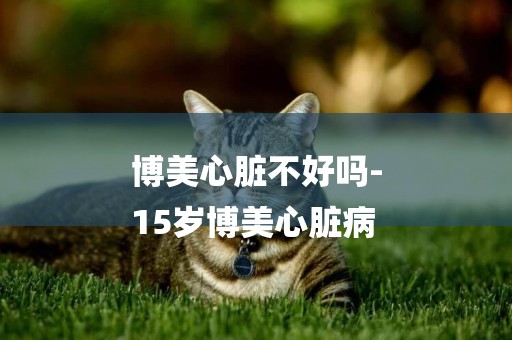 博美心臟不好嗎-
15歲博美心臟病