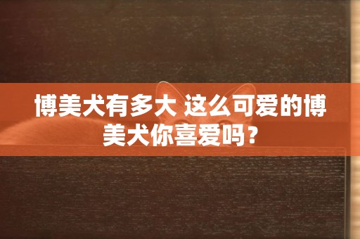 博美犬有多大 這么可愛的博美犬你喜愛嗎？
