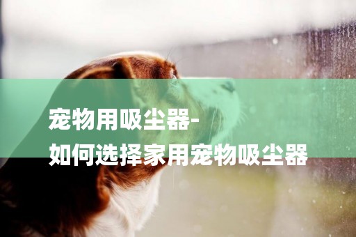 寵物用吸塵器-
如何選擇家用寵物吸塵器