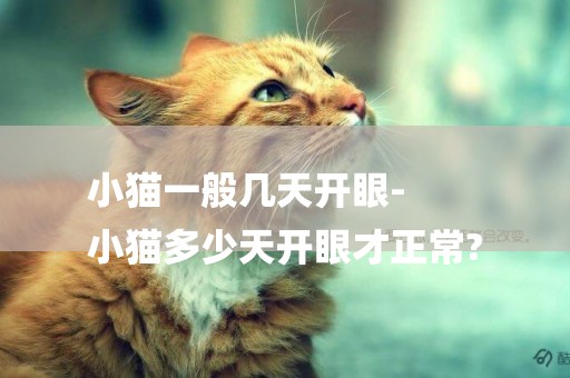 小貓一般幾天開眼-
小貓多少天開眼才正常?