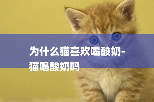 為什么貓喜歡喝酸奶-
貓喝酸奶嗎