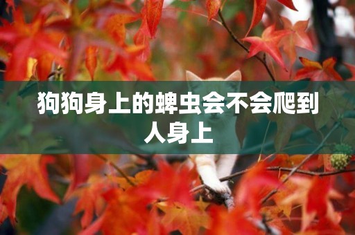 狗狗身上的蜱蟲會不會爬到人身上