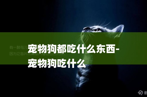 寵物狗都吃什么東西-
寵物狗吃什么