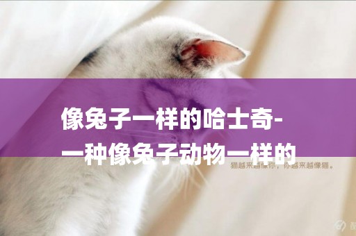 像兔子一樣的哈士奇-
一種像兔子動物一樣的