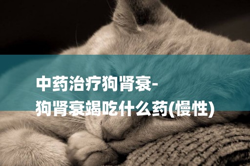 中藥治療狗腎衰-
狗腎衰竭吃什么藥(慢性)