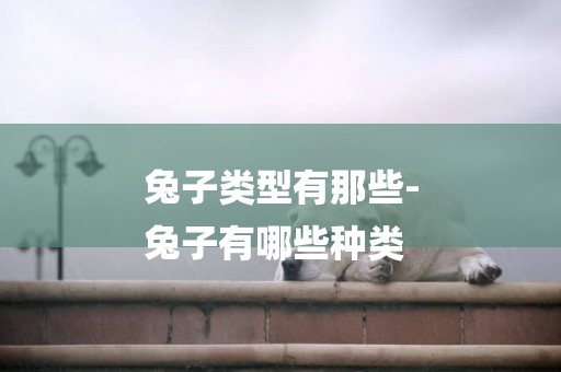 兔子類型有那些-
兔子有哪些種類