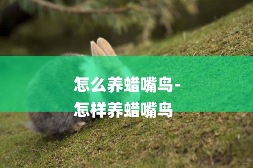 怎么養蠟嘴鳥-
怎樣養蠟嘴鳥