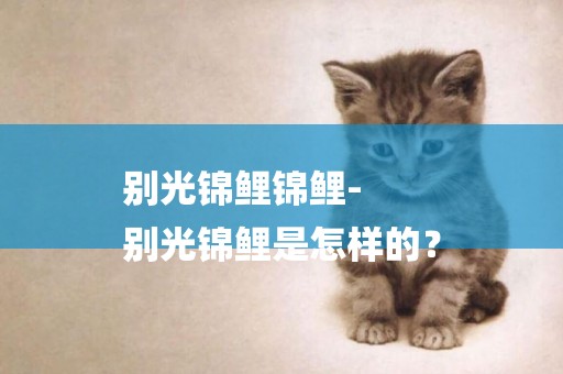 別光錦鯉錦鯉-
別光錦鯉是怎樣的？