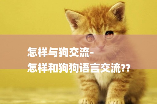 怎樣與狗交流-
怎樣和狗狗語言交流??