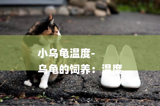 小烏龜溫度-
烏龜的飼養：溫度