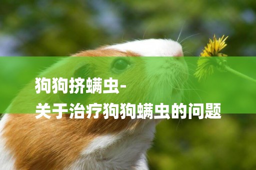 狗狗擠螨蟲-
關于治療狗狗螨蟲的問題