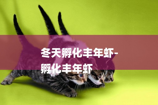 冬天孵化豐年蝦-
孵化豐年蝦