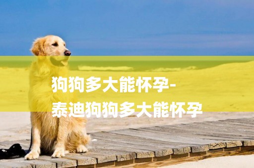 狗狗多大能懷孕-
泰迪狗狗多大能懷孕